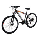 Bicicleta Fratelli Bravo Rin 29